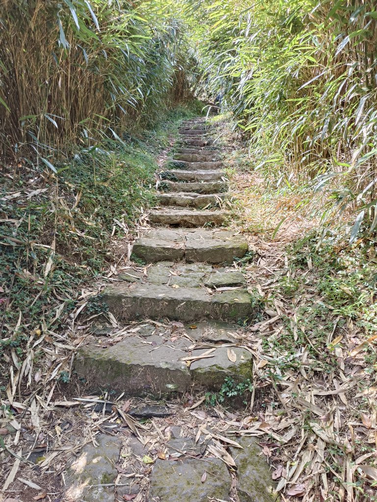 大屯山主峰連走南峰─西峰_1875854