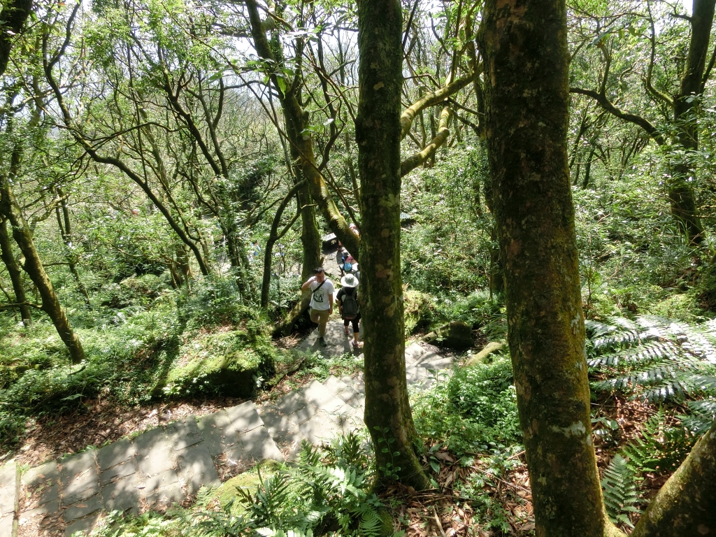 小油坑．七星山主峰．東峰．夢幻湖_94973