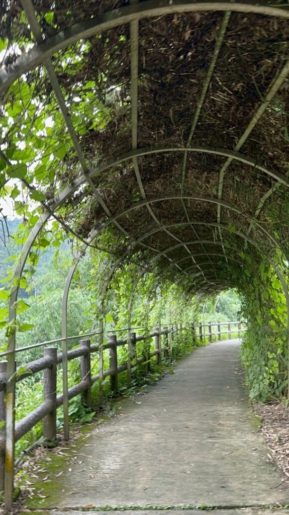 烏窟子山、獵貍尖山、黃櫸皮寮山、翡翠之眼O走_2809966