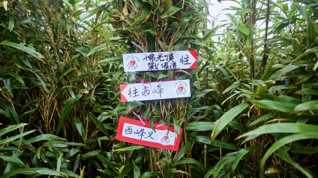 小觀音山群峰、大屯溪古道_708073