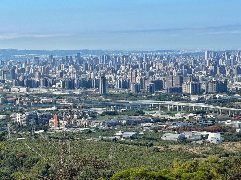 聚興山 新田步道 龍興巷落羽松_1994603