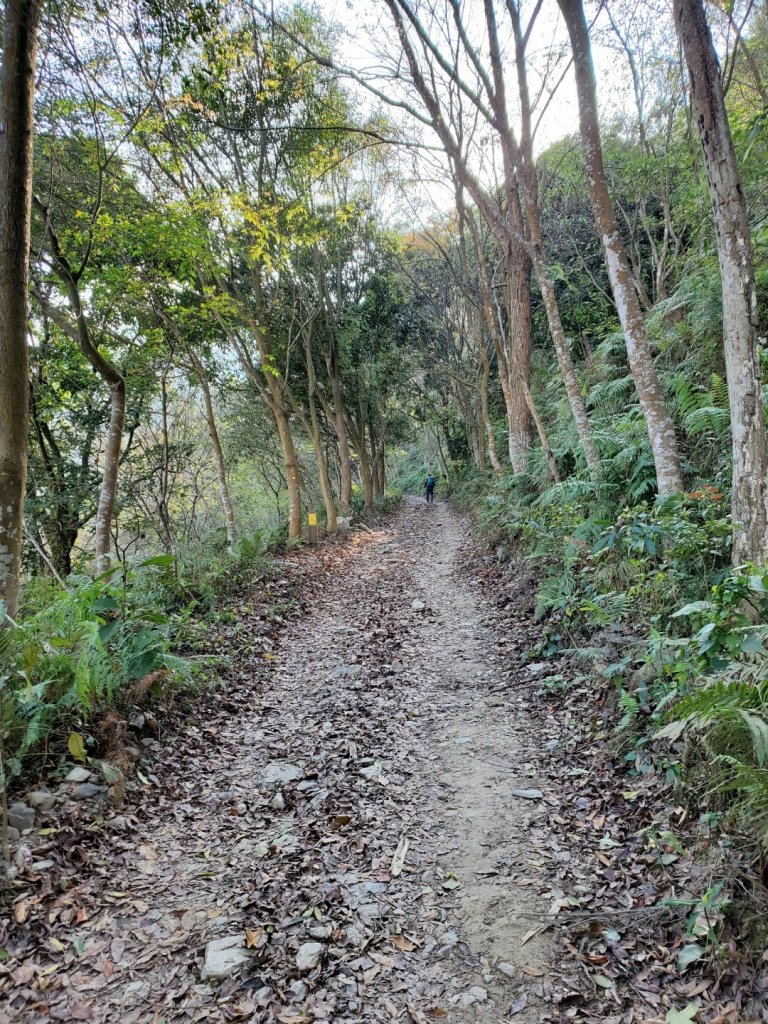 步道巡訪員│雲端上的尾寮山_828766