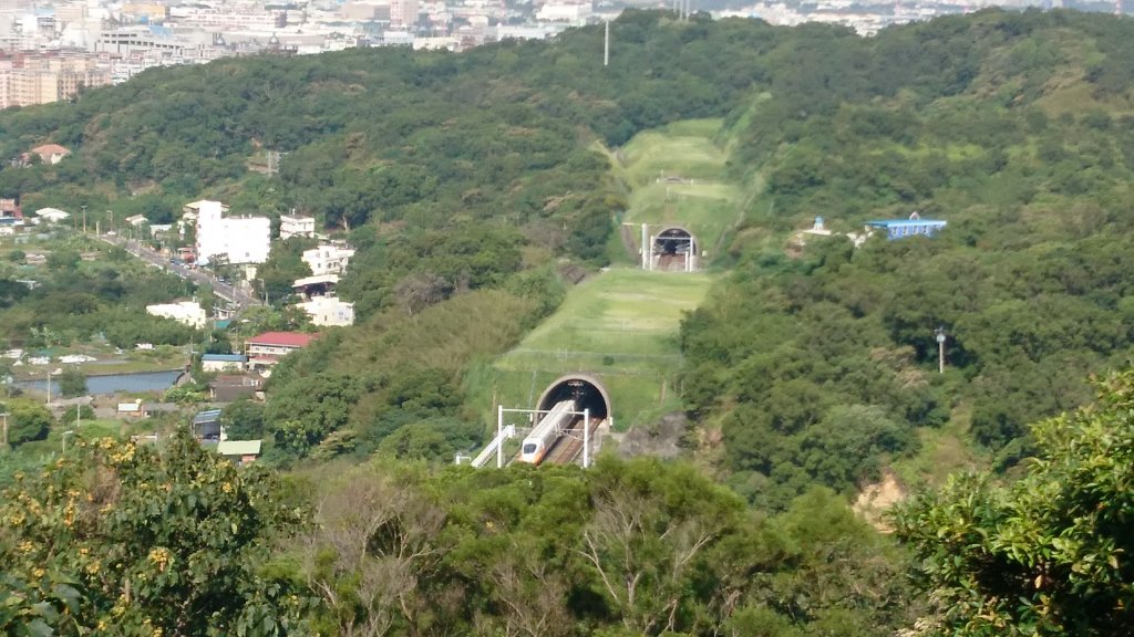 羊稠森林步道_420868