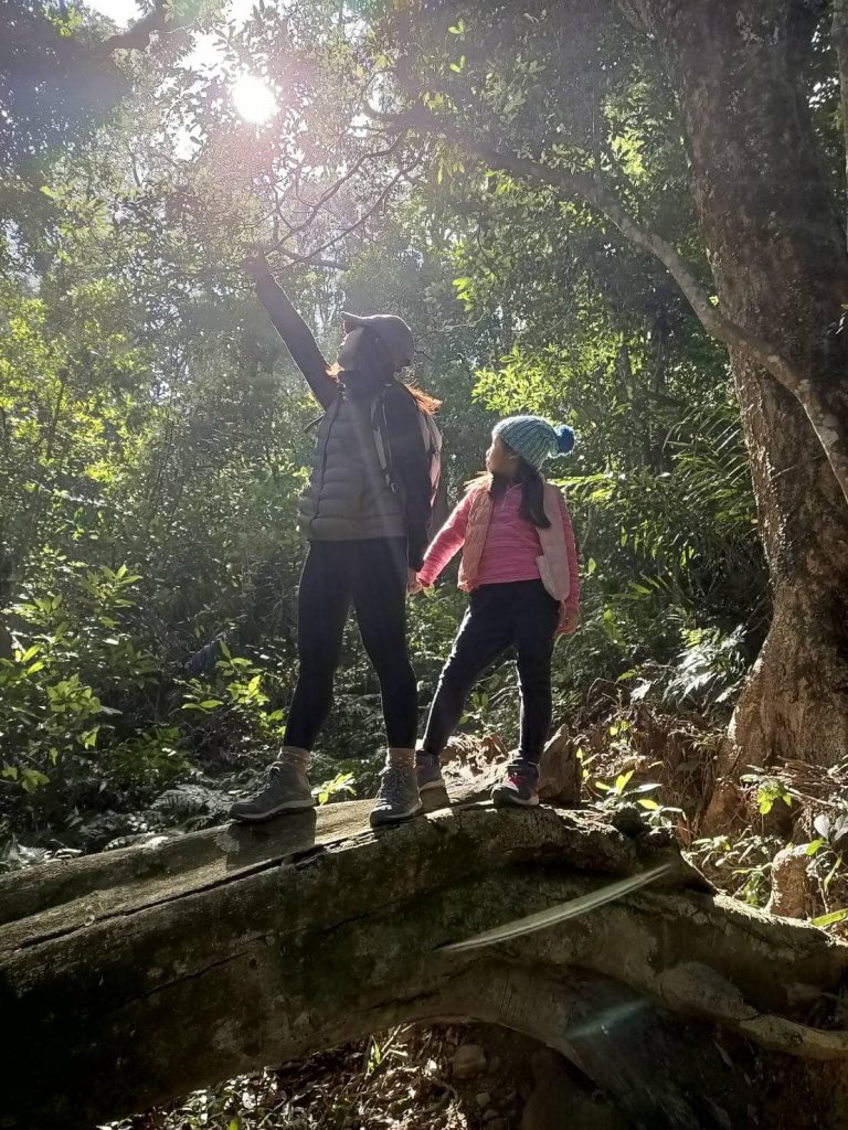 20221218苗栗鳴鳳古道_2113507