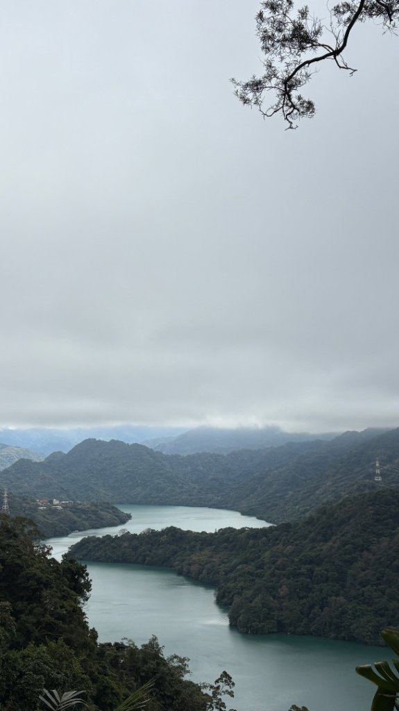 迷霧_2986990