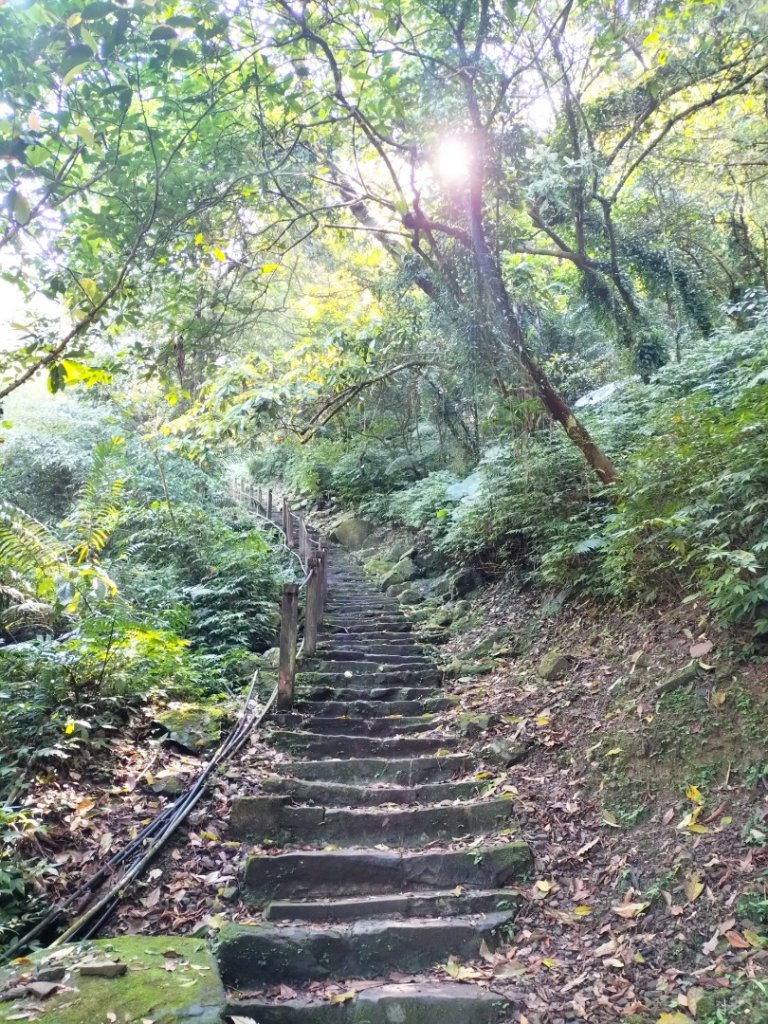 銀河洞越嶺道封面圖