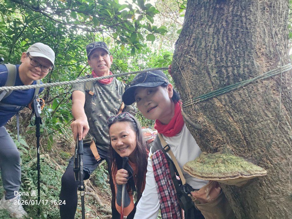 20260117淡蘭北路三段隆嶺古道+雪山尾稜北段+福卯古道大O走_2990174