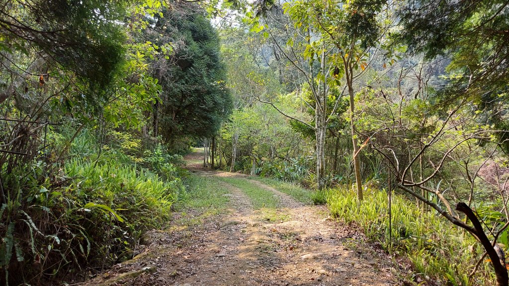 大克山北登山口森林遊樂區起登_1332897