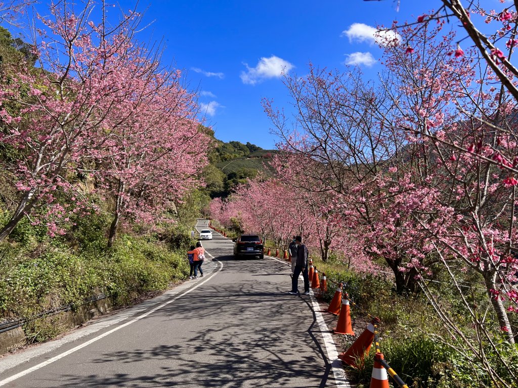 石壁木馬古道_1623539