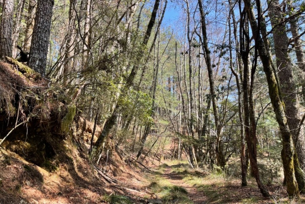 戀愛般的甘酸甜⋯ 閂山．鈴鳴山_1342327