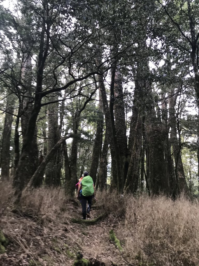 霞喀羅大山,佐藤山順訪佐藤駐在所_1324585