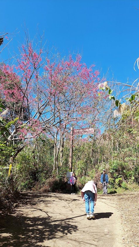 五指山橫向登山步道封面圖