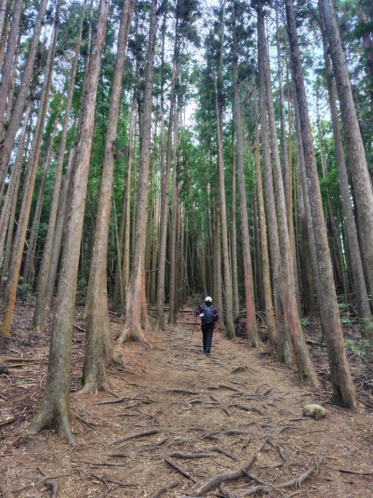 長壽山、肥崠山、醜崠山、大崠山、大崠山經建版_2931533