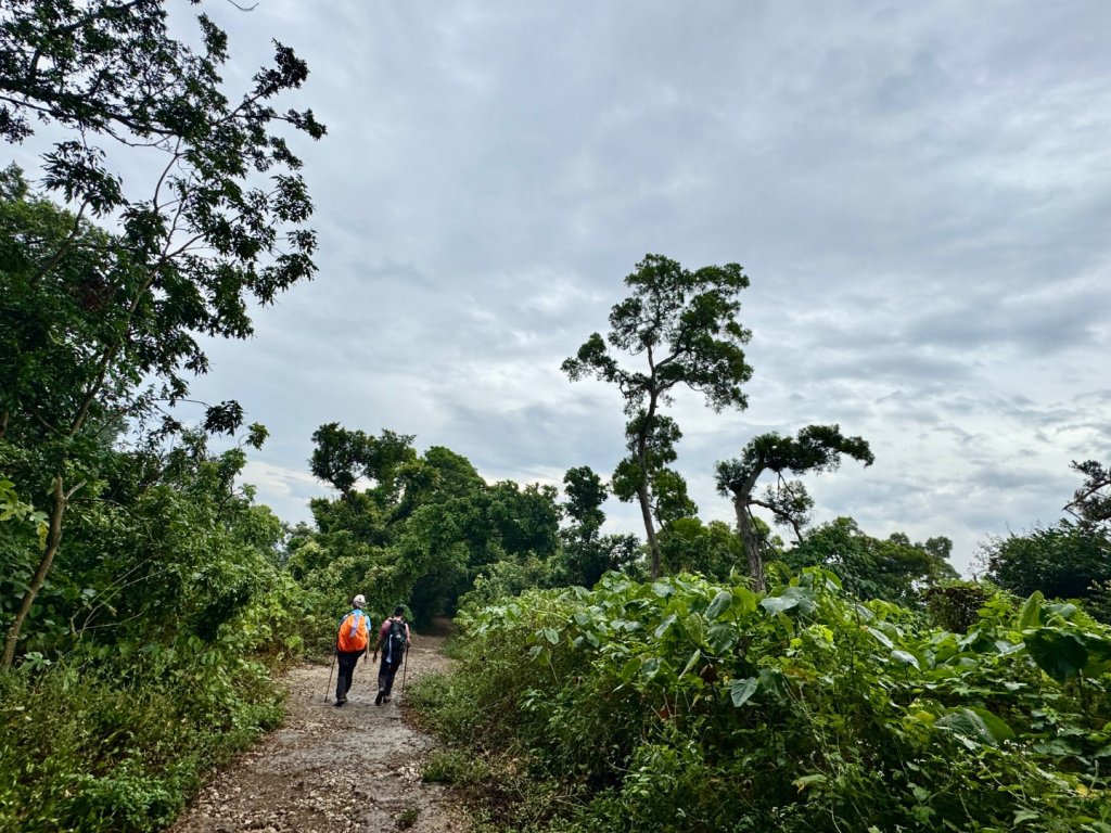 北壽山走壽山(小百岳#77) 龍泉寺起登出千光宮_2934476