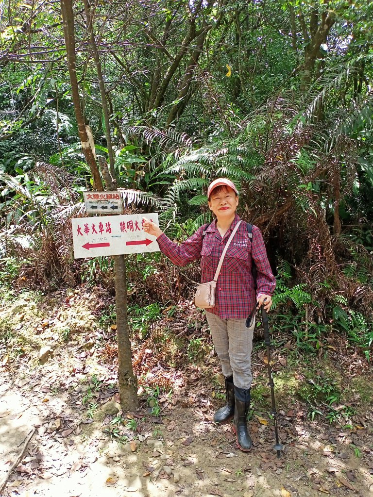 【新北-臺灣百大必訪步道】流水淙淙的三貂嶺瀑布群步道_1455460