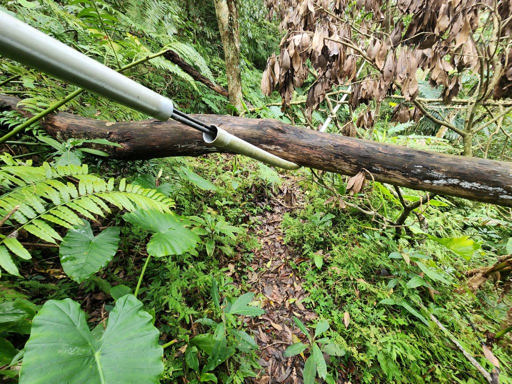 20250309高甫山彩和山大庭頂山金山O型_2769641