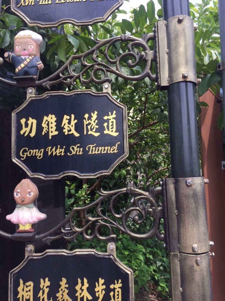 功維敘隧道封面圖