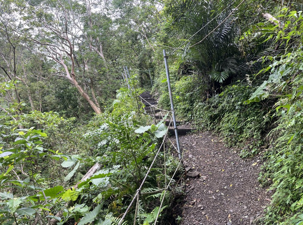 [屏步青雲 尋寶任務-03/10] 2024_0917 雙流國家森林遊樂區（瀑布步道）_2597778