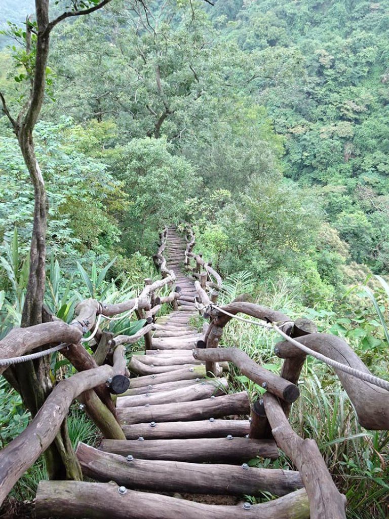 為雪山東峰特訓--大坑步道452_438149