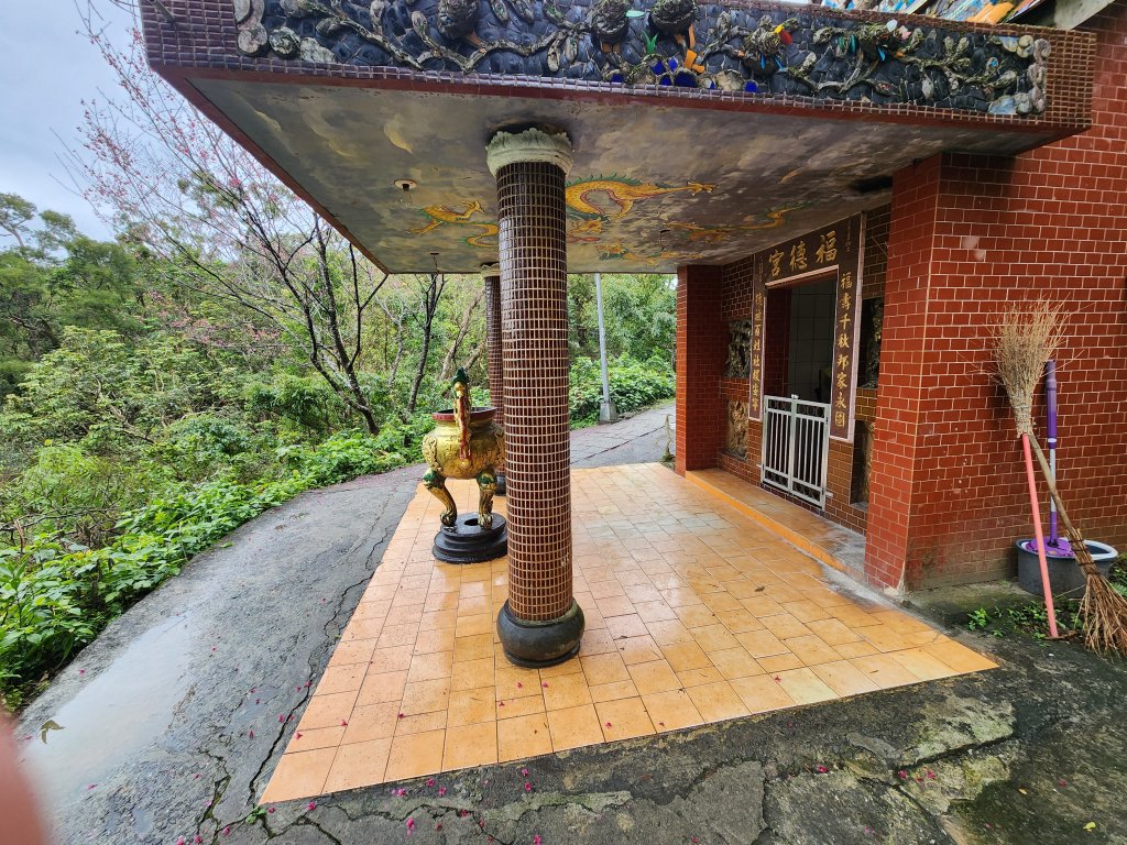 20250209電車登山 南港 ~ 辛亥_2744751