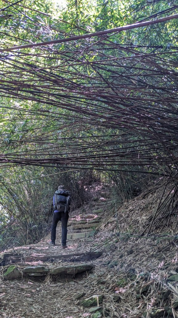 【屏步青雲】屏東山旅~尾寮山_2650672