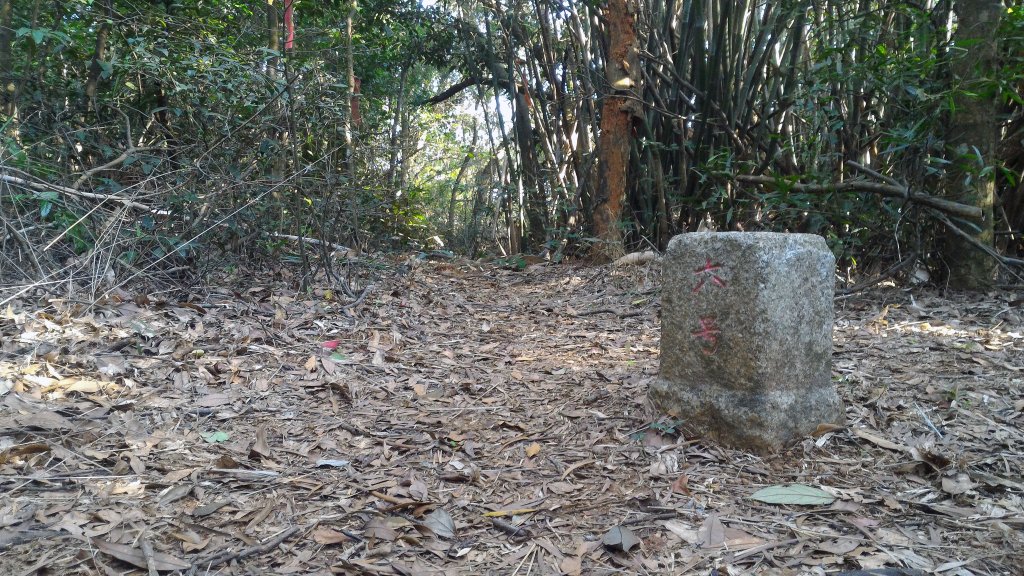 石頭坑山_2399870