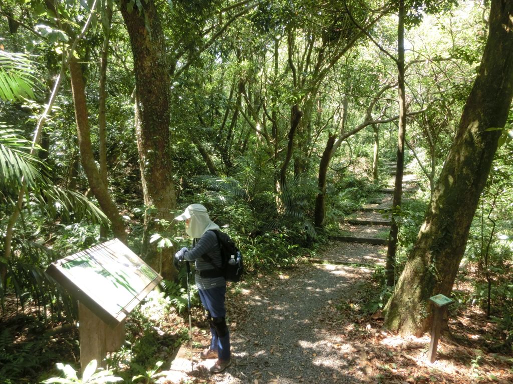 荖寮坑古道．淡蘭古道暖東舊道_158168