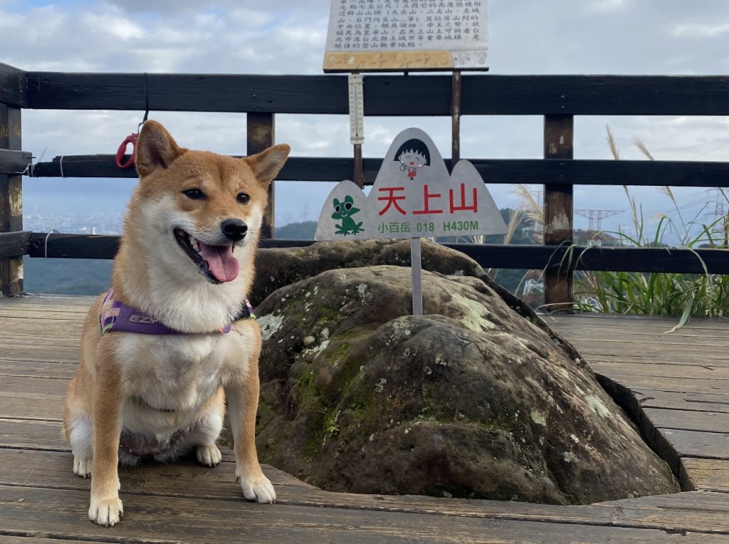 #18 天上山封面圖