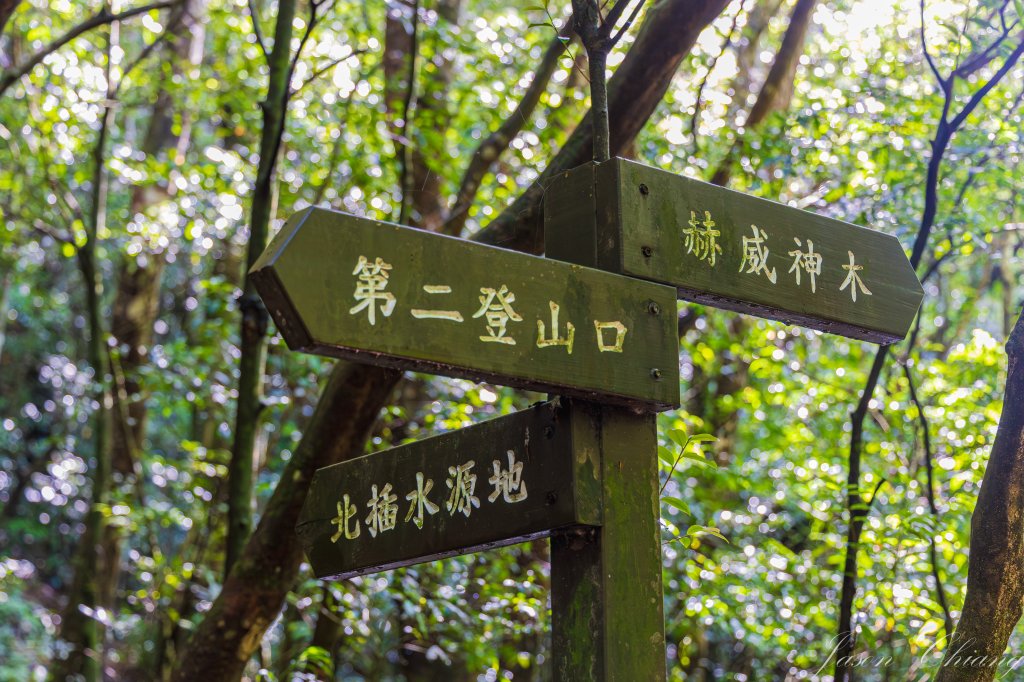 [桃園]北插天山磨練之旅_2532885