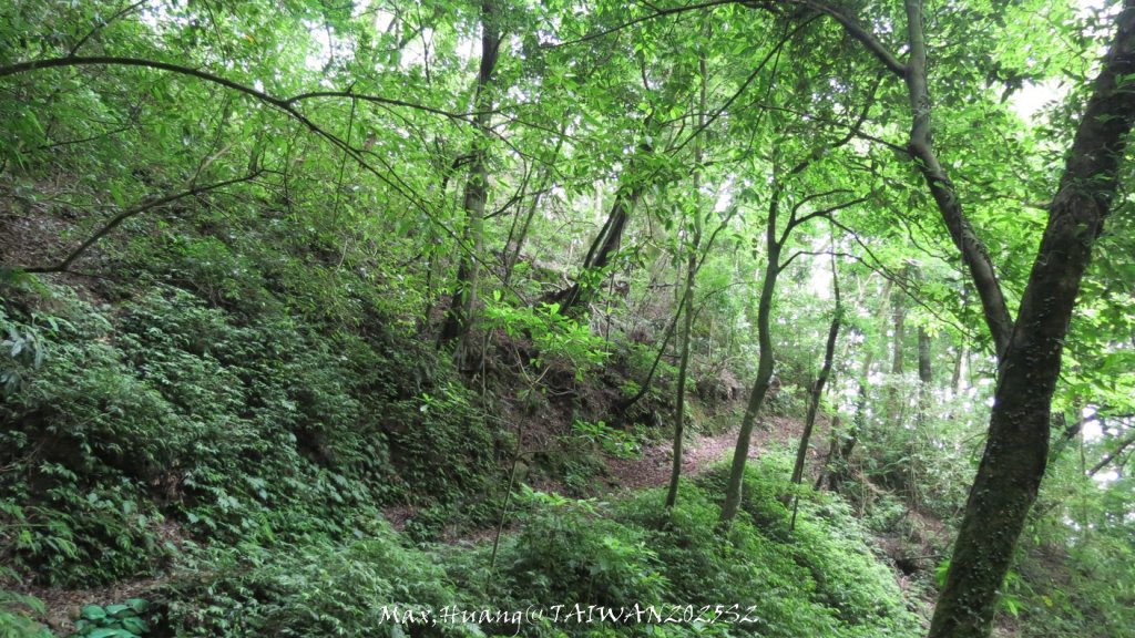 《雲林》望好望角｜石壁山嘉南雲峰步道(中側登山口）20250607_2805531