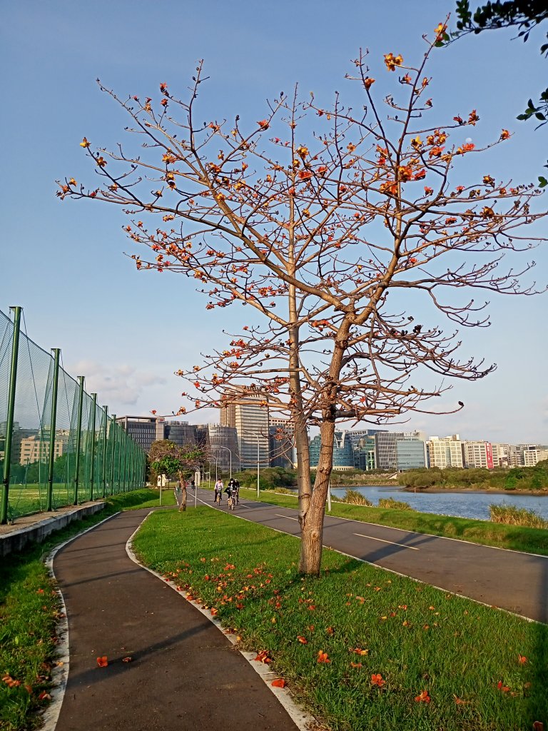 基隆河右岸、美堤河濱公園步道健走慢跑趣封面圖