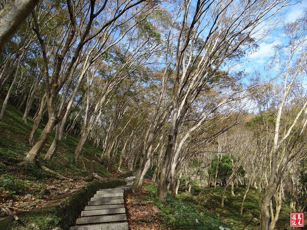 石門水庫映楓紅_82479