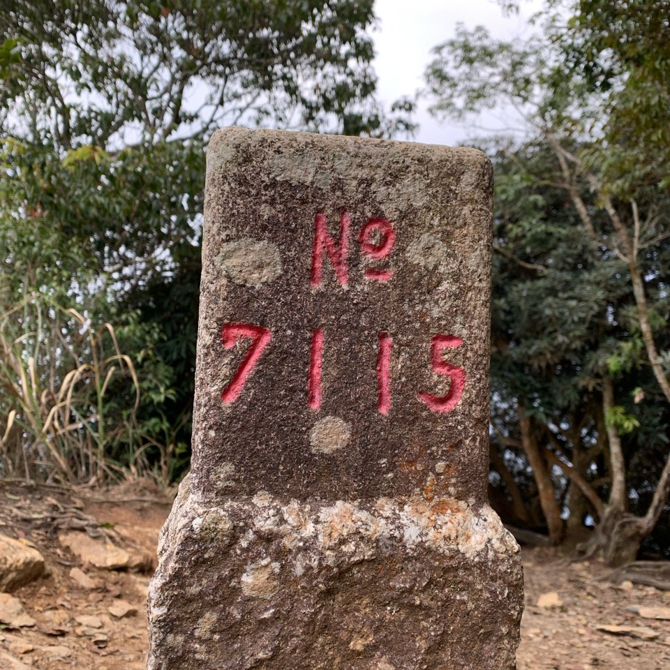 20240212屏東鱈葉根山-日湯真山縱走_2431660