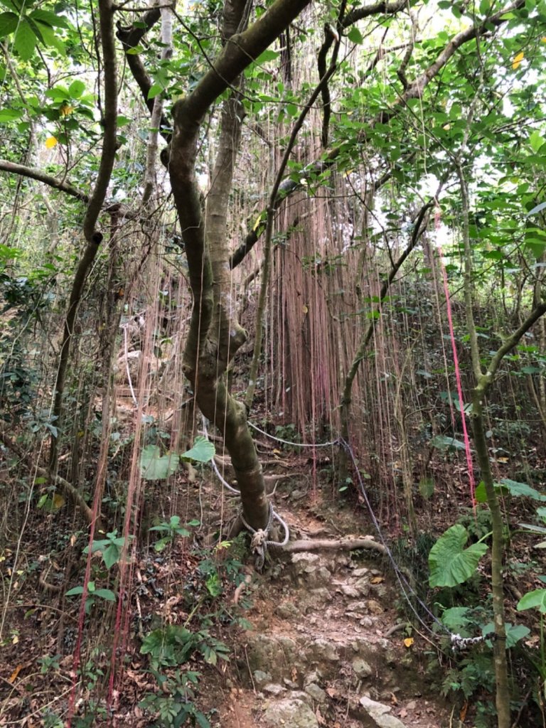 2020.04.02北柴山_900717