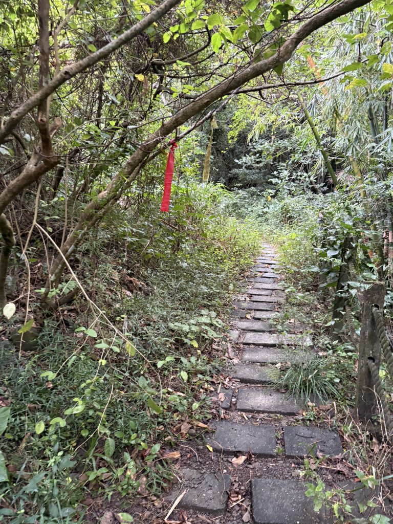 20251129女仍山步道_2951768