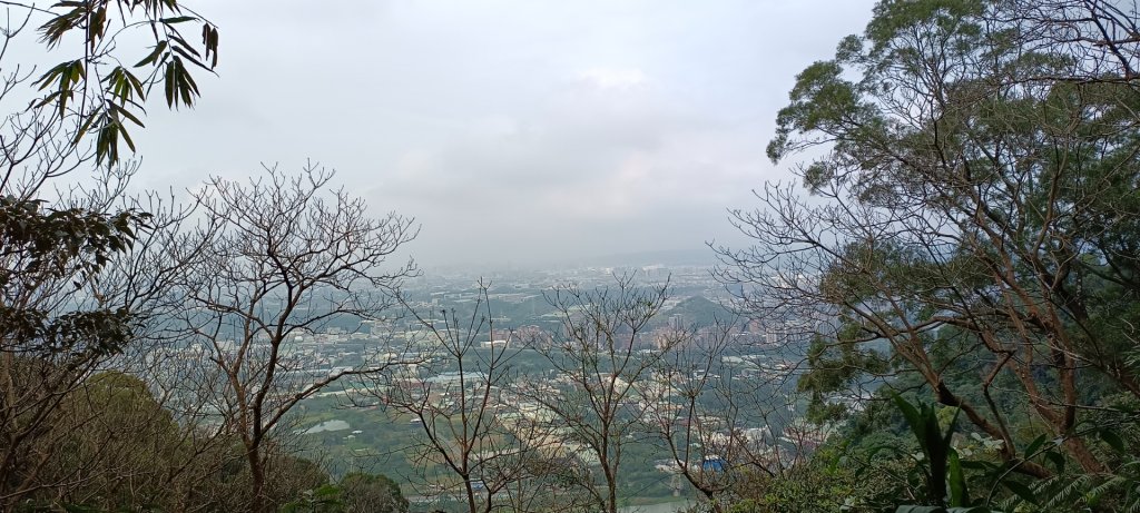 五十分山+福德坑山-2022/02/26_1619398