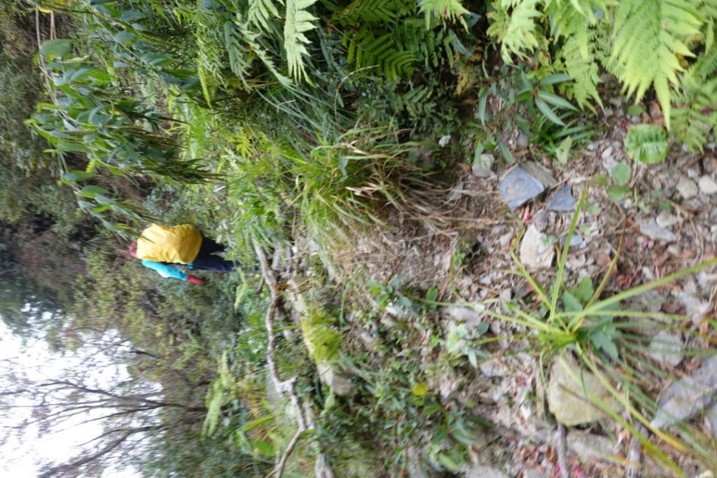 小鬼湖林道上亞泥迪山_1276747