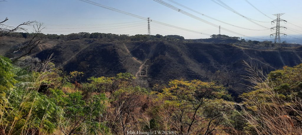 《台中》短暫暖陽｜龍井竹坑南寮步道O繞20260104_2976424