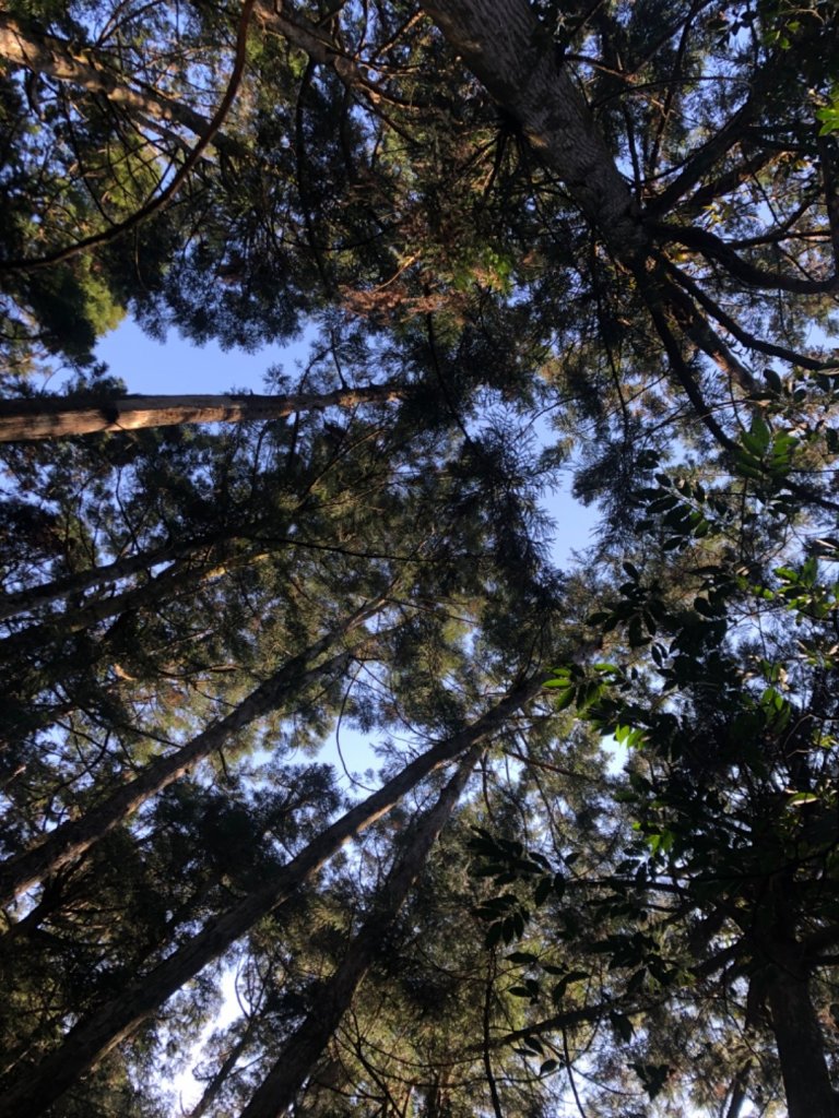 卡保雲森縱走_881702