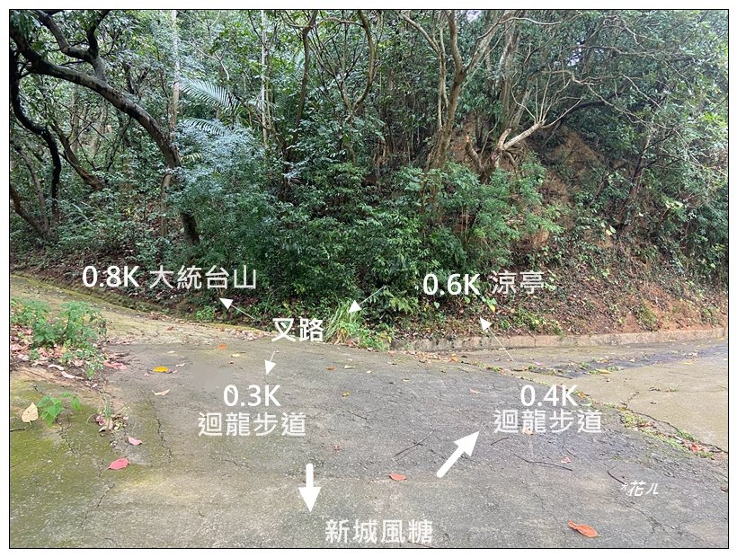 寶山迴龍步道、大統台山_2705035
