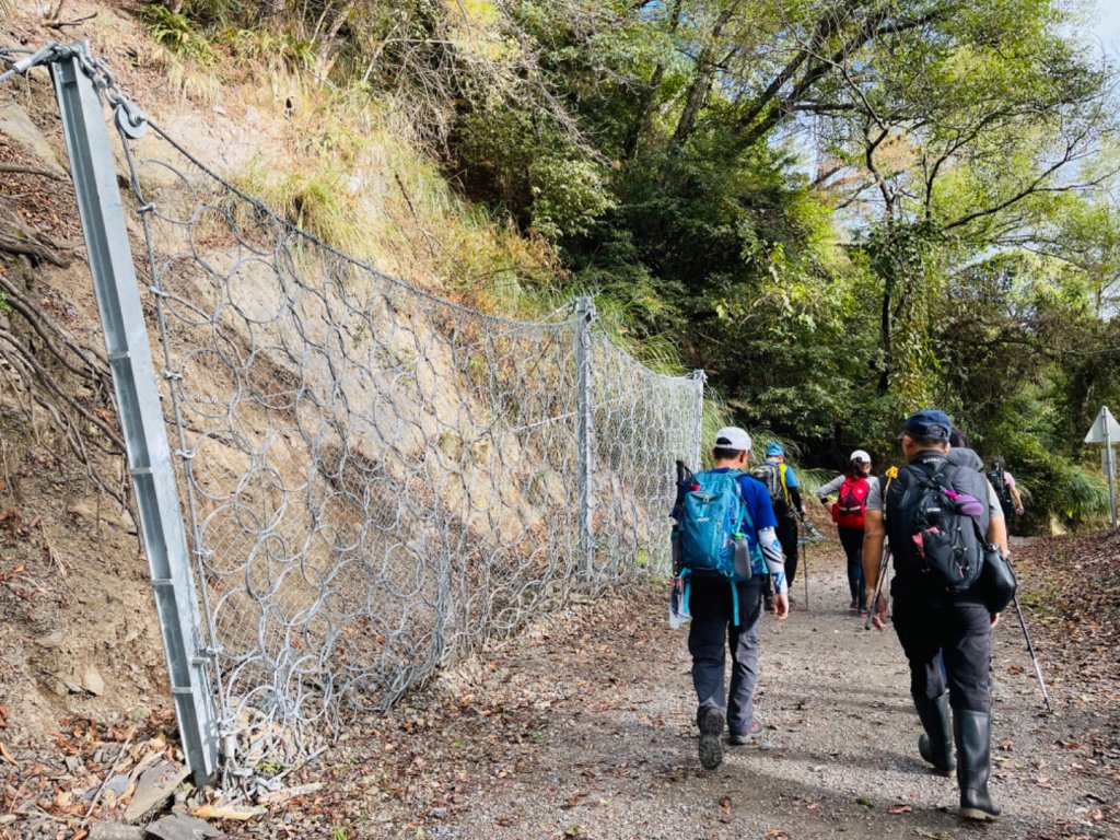 1111104二訪雪見大板根_1899329