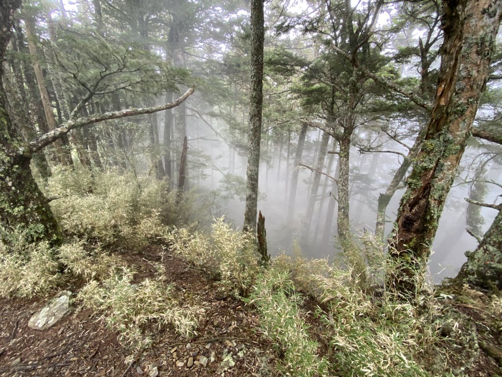 【武陵四秀兩天一夜】│全攻略│_1103608