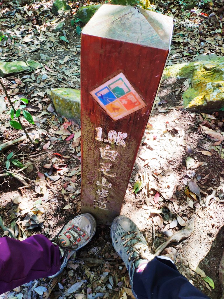 谷關七雄老六_白毛山_1232060