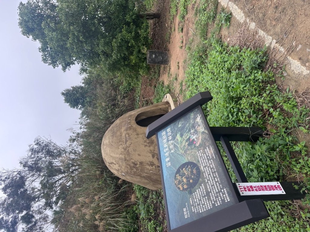 苗栗抹茶山_2648960