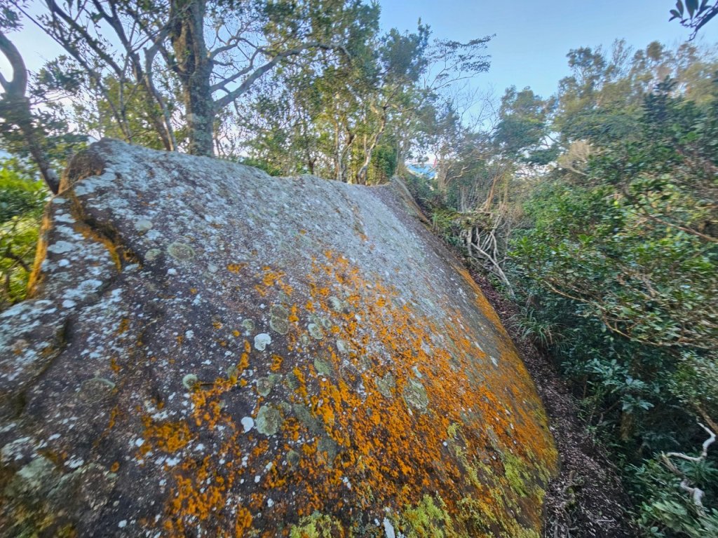 20241103拉庫山主西峰-那結山-拉號山-嘎色鬧山-牛角山_2642473