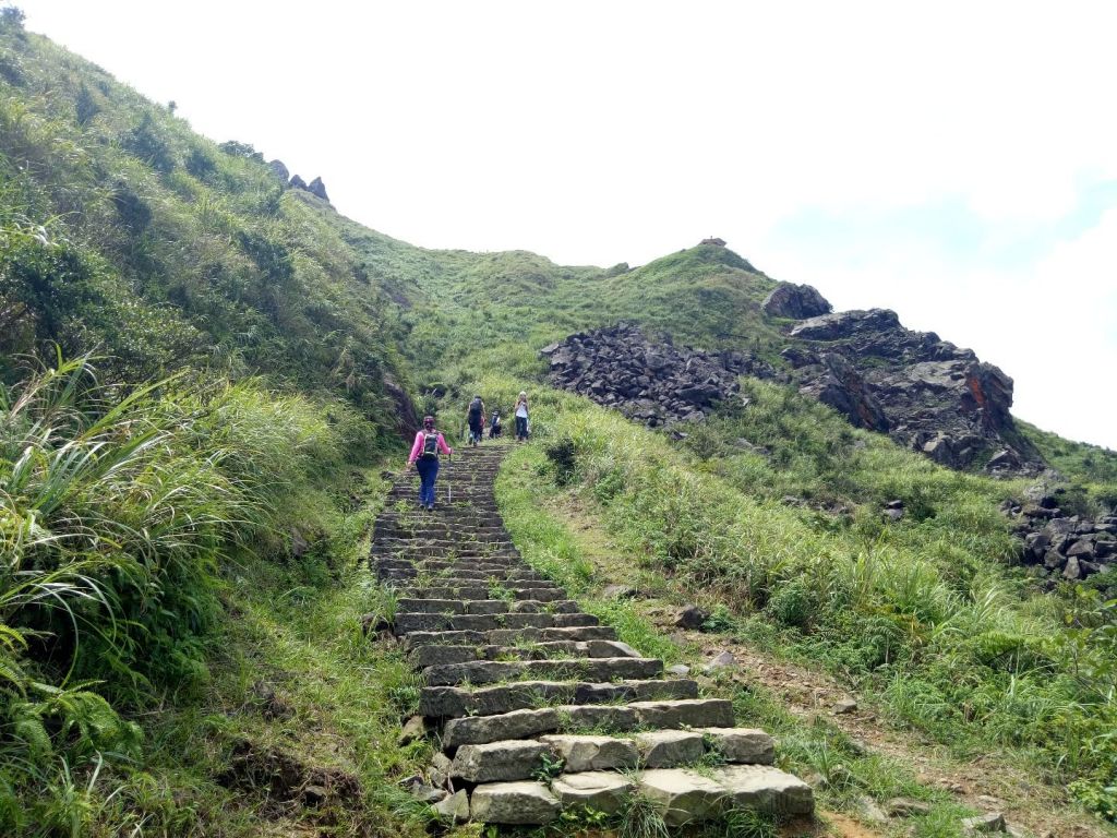 茶壺山，半屏山小0健行_405482