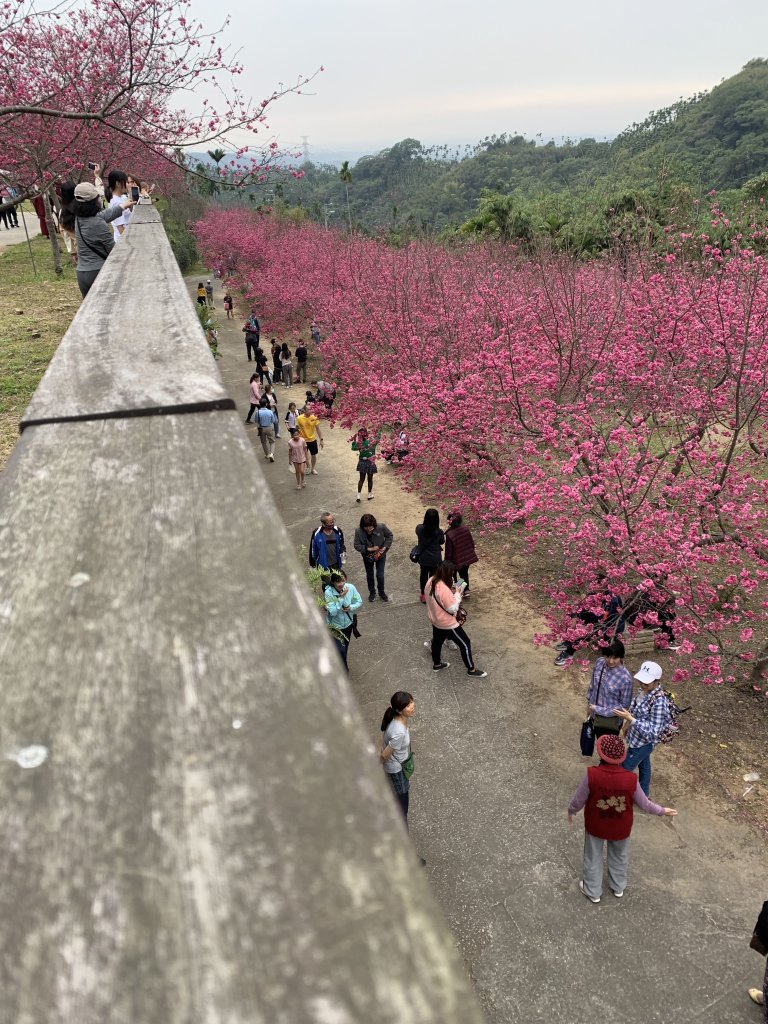 20240224嘉義半天岩山-尖凍山_2439798