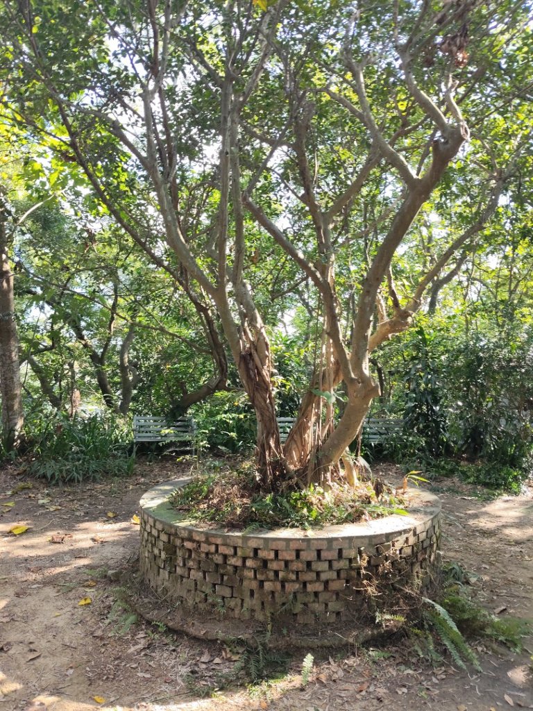 微笑山線：【天上山系】烘爐地土地公段：外南勢角山_2963554