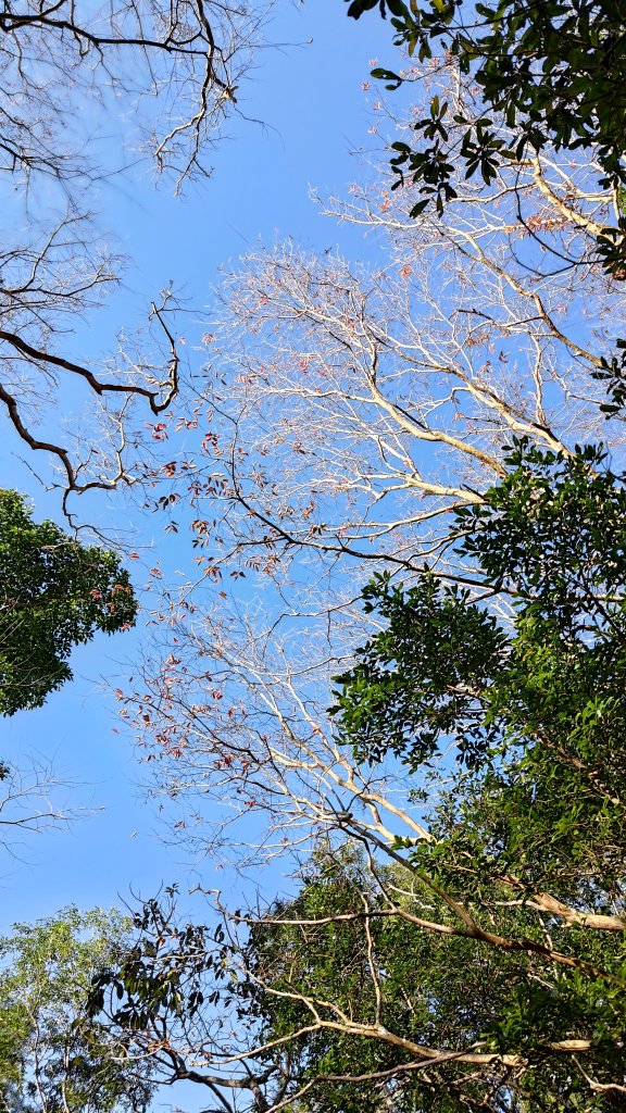 久保山、南久保山_2714420