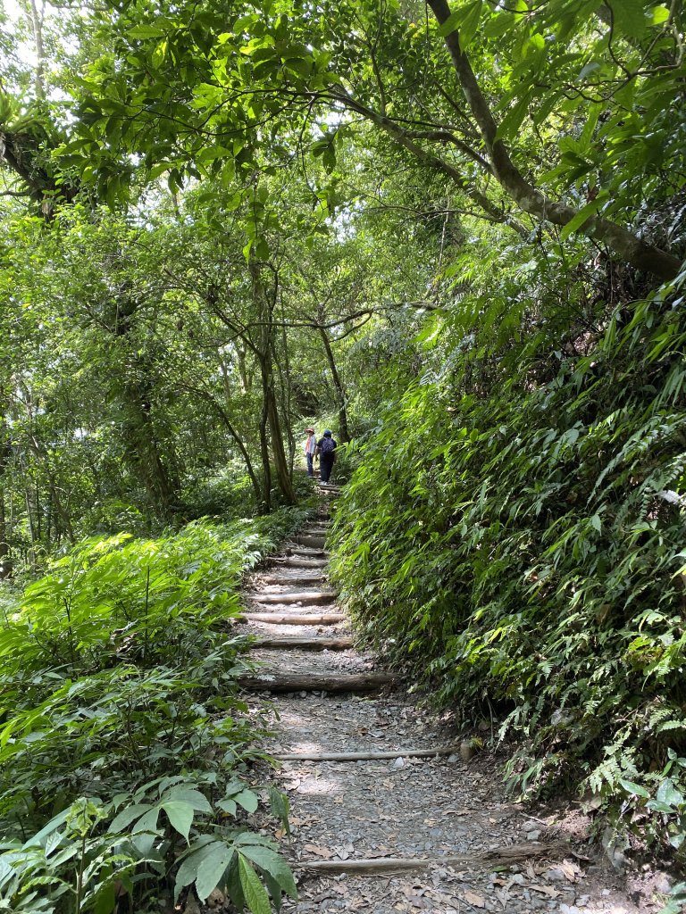 20200816 聖母登山步道+三角崙山_1071755